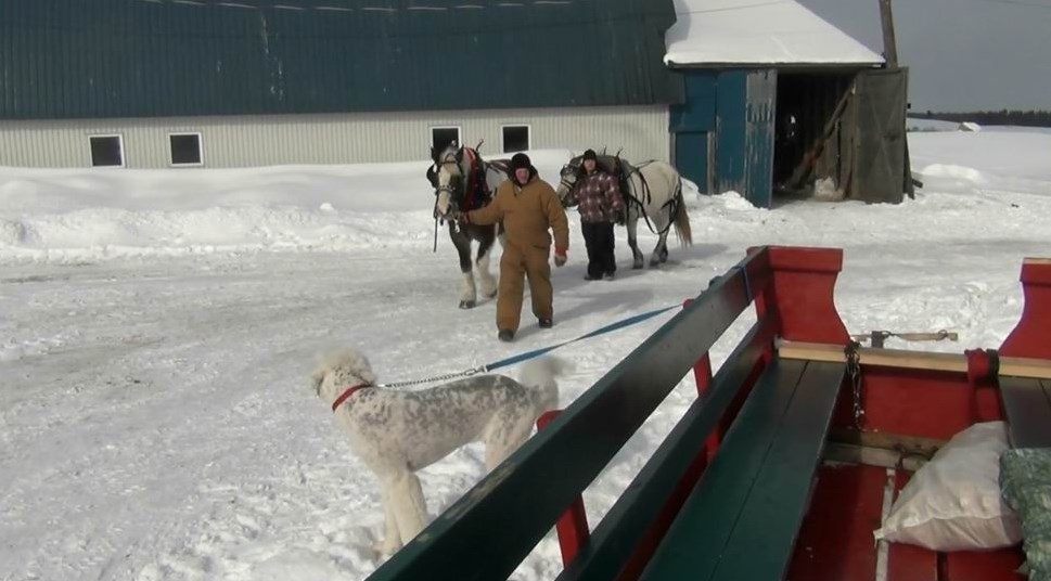 Normand DeLessard présente une balade en Sleigh ride à Saint-Victor