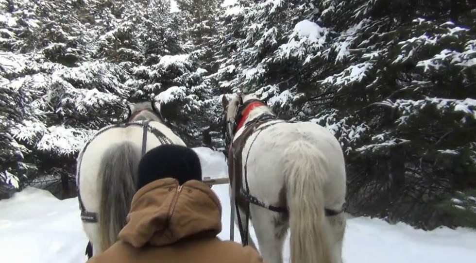 Normand DeLessard présente une balade en Sleigh ride à Saint-Victor