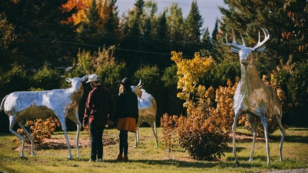 Nouveau plan d'action culturel pour la MRC des Etchemins