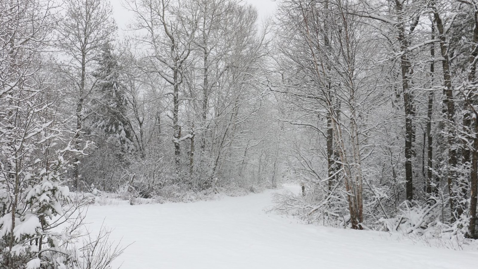 Paysage entre Saint-Prosper et Sainte-Rose