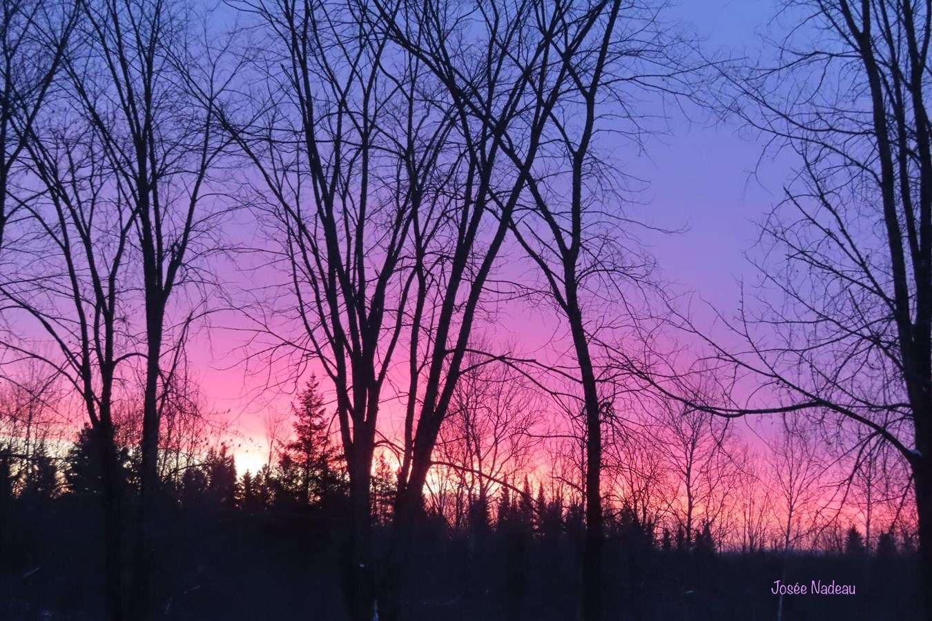 Galerie 6: les plus beaux couchers et levers de soleil en Beauce