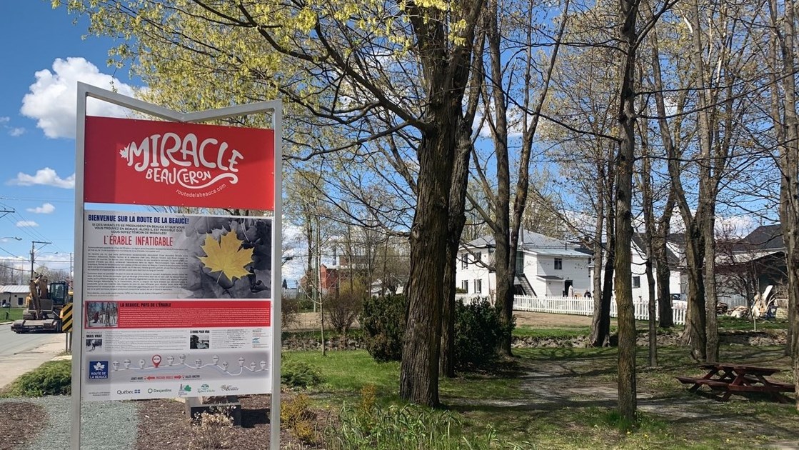 Site près du Musée de l'aviation à Sainte-Marie