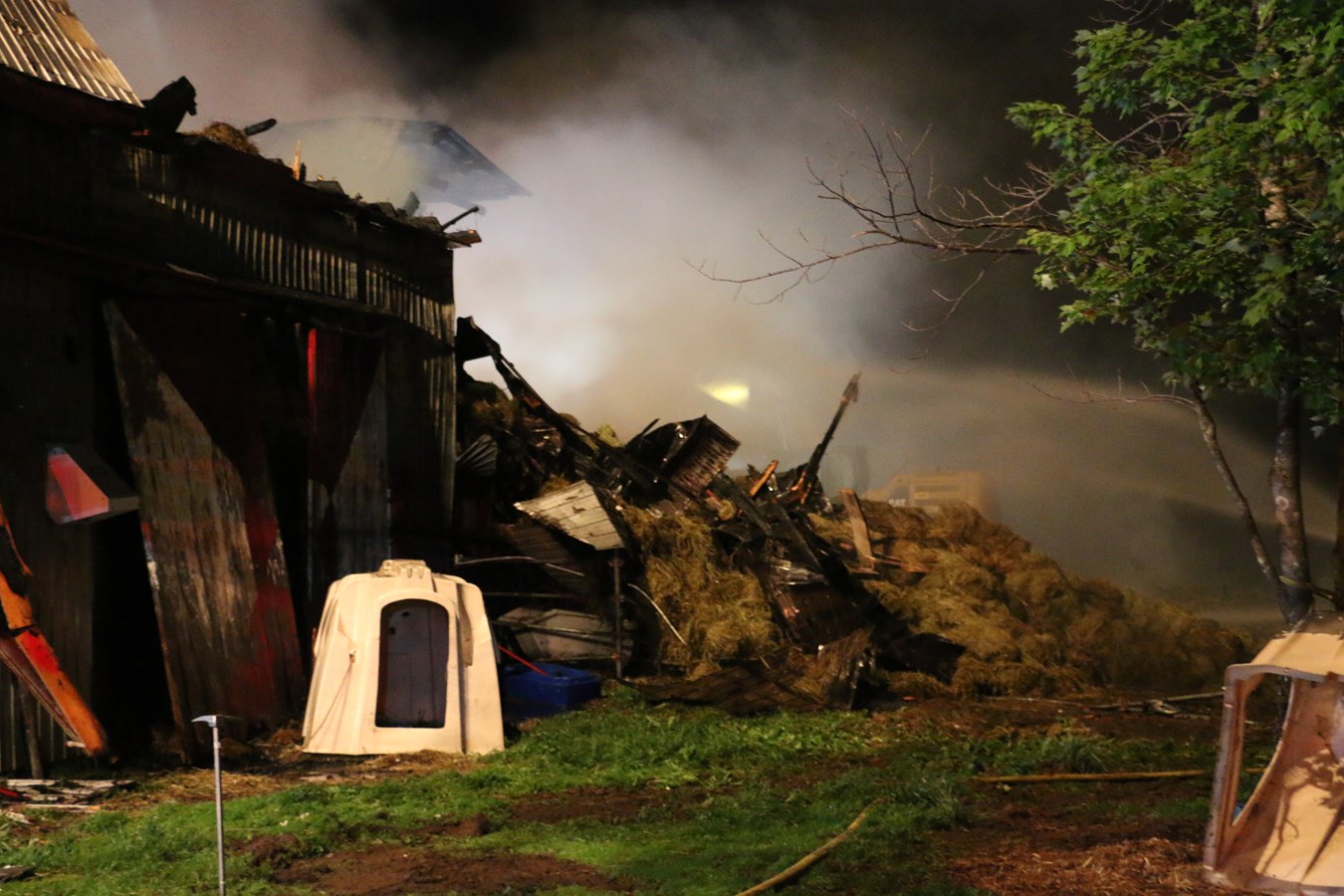 Ferme laitière rasée par les flammes: la majorité des animaux ont été sauvés