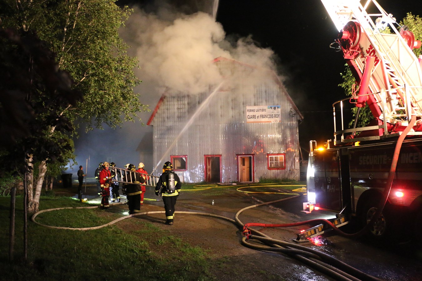 Ferme laitière rasée par les flammes: la majorité des animaux ont été sauvés