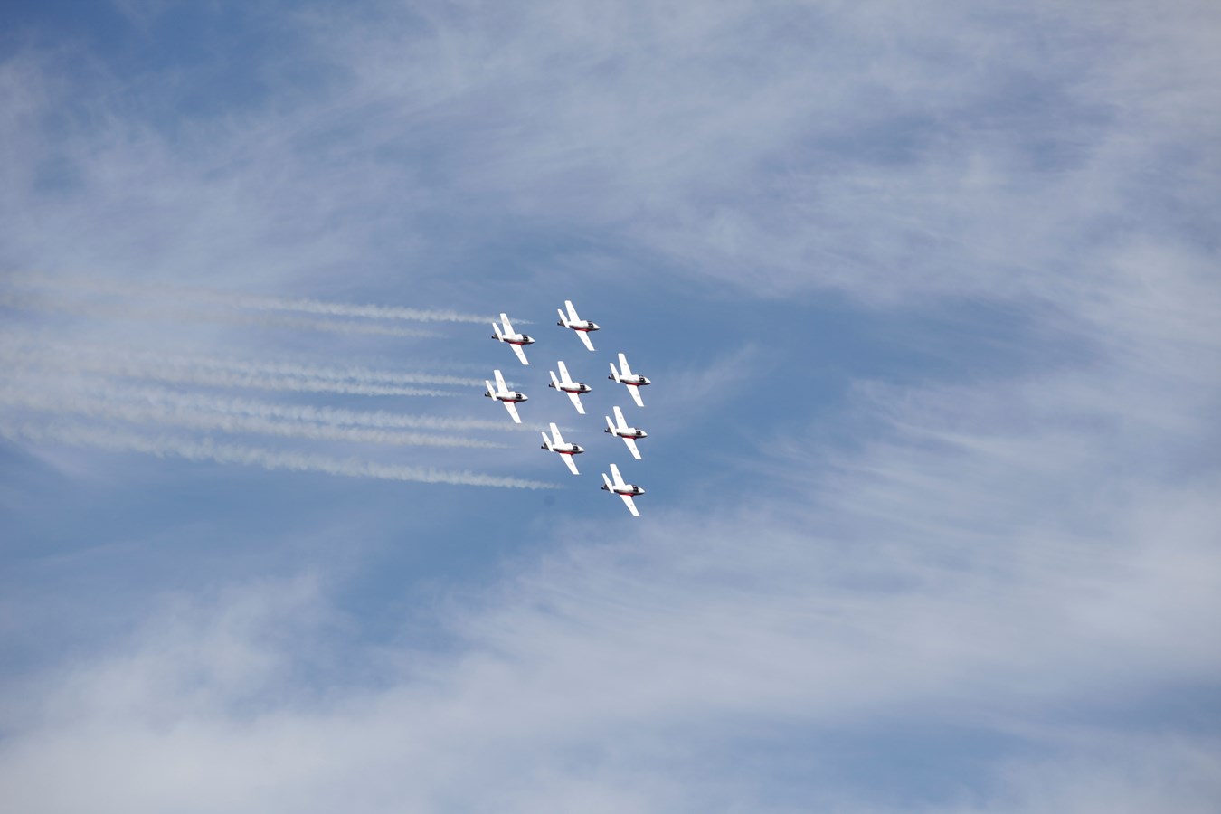 Les Snowbirds