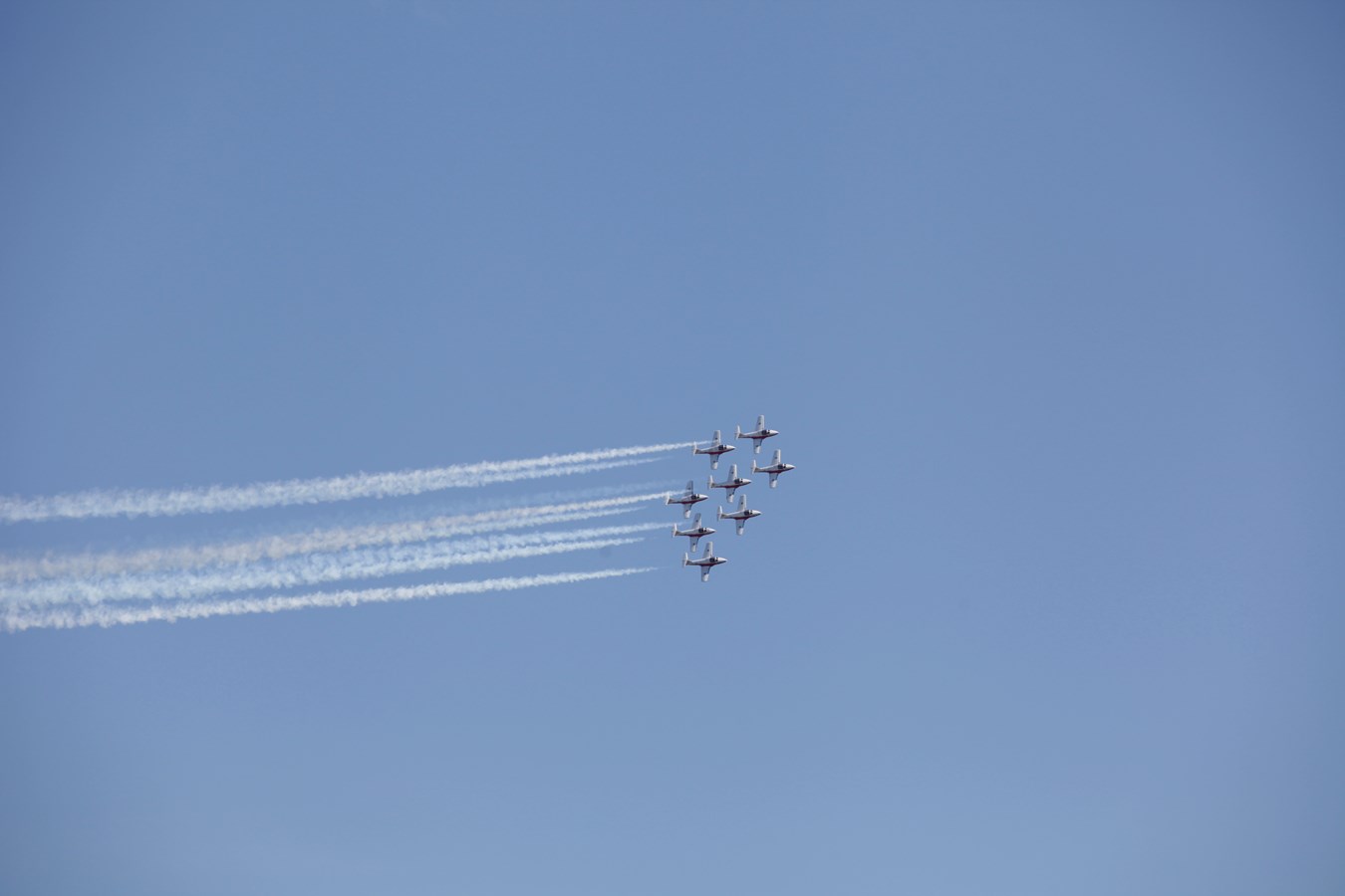 Les Snowbirds