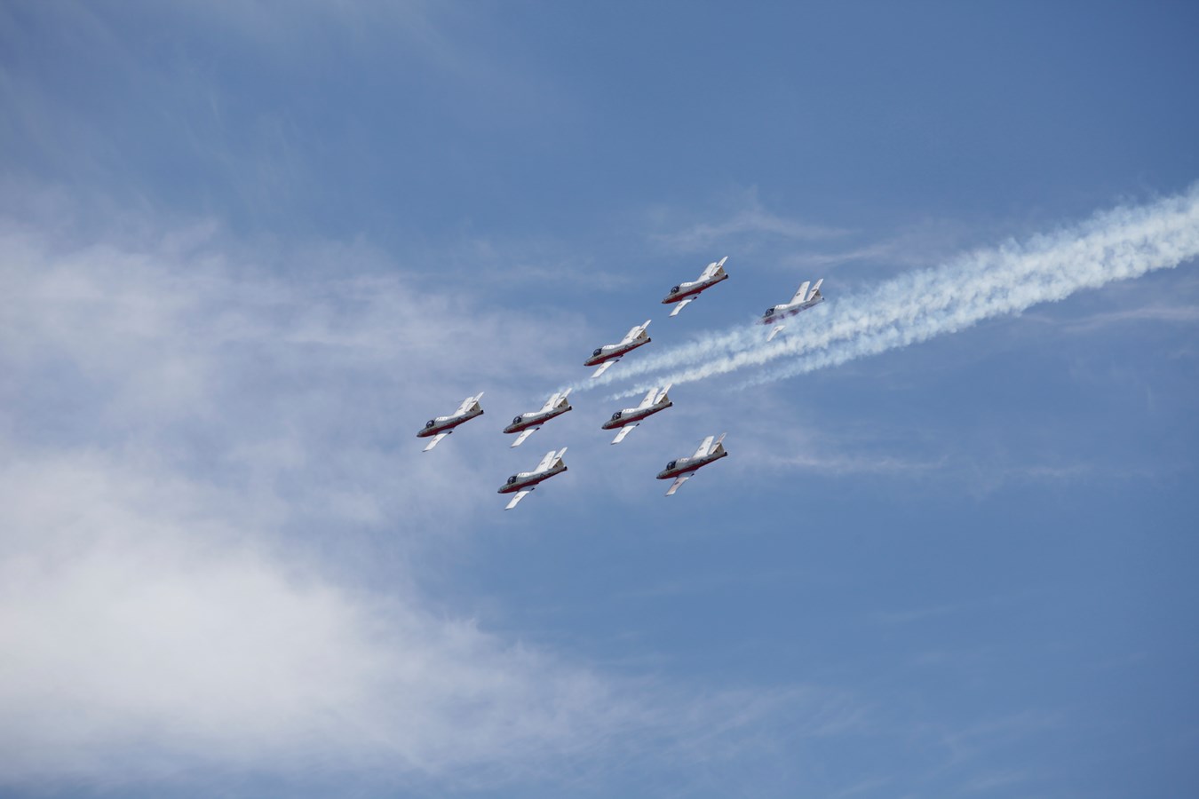 Les Snowbirds
