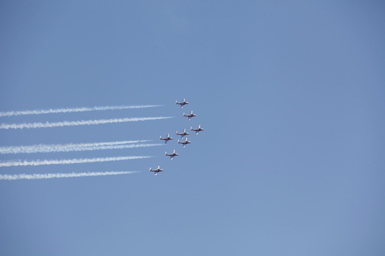 Les Snowbirds