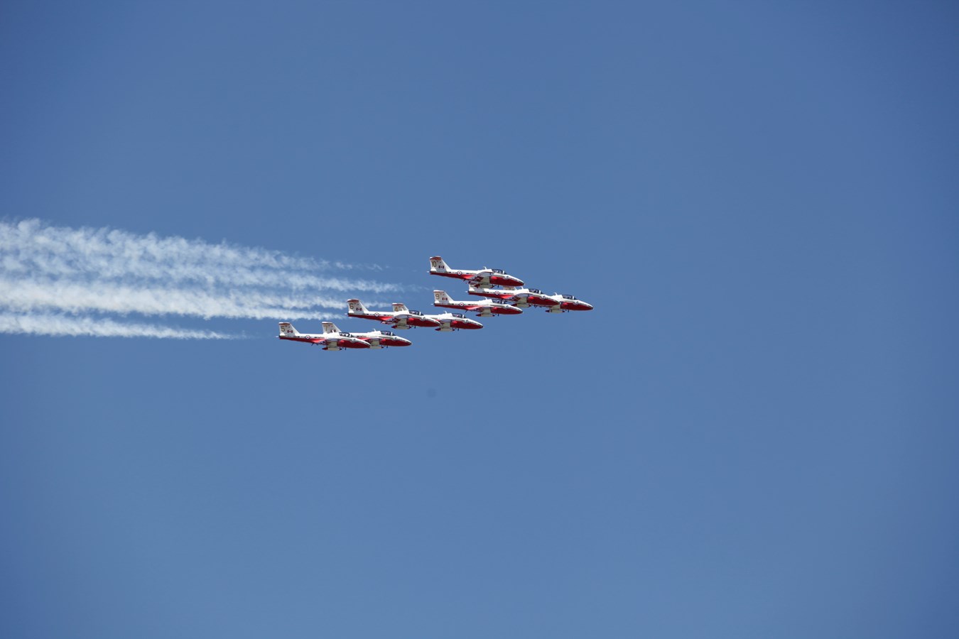 Les Snowbirds