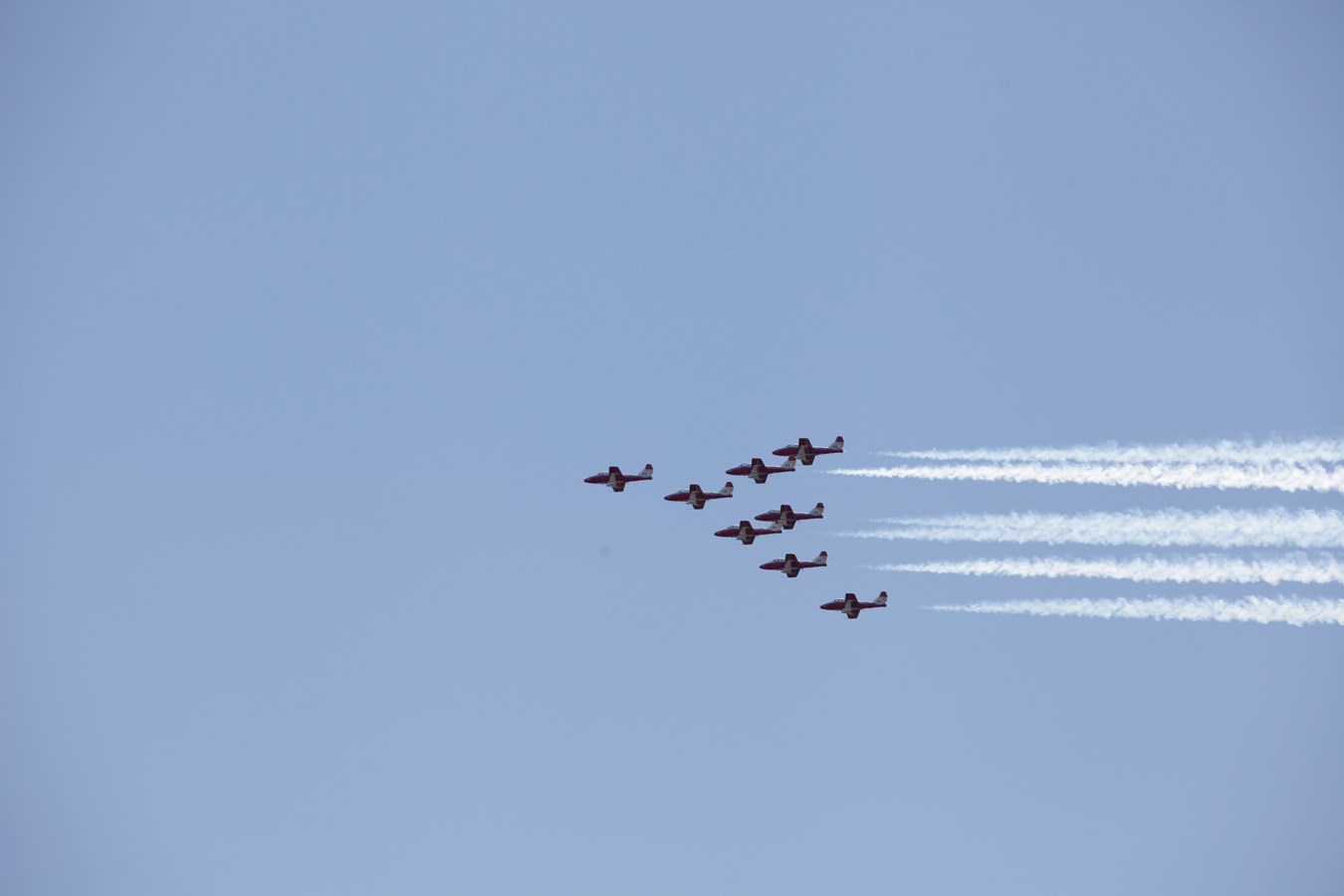 Les Snowbirds