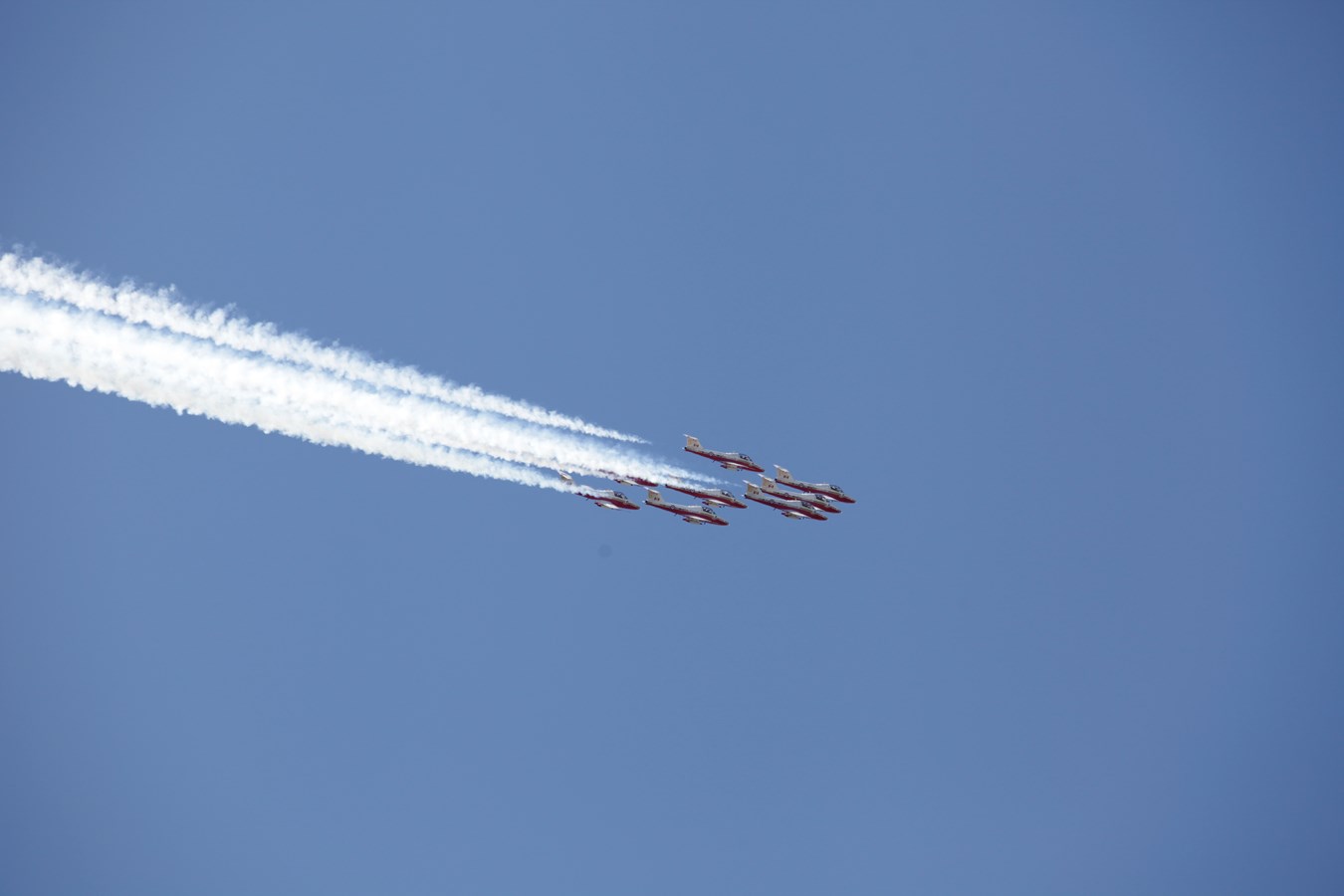 Les Snowbirds