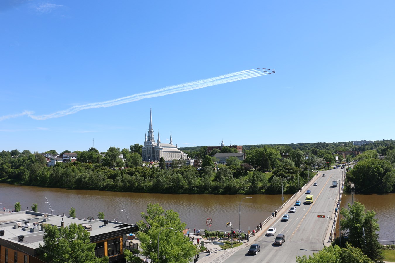 Les Snowbirds