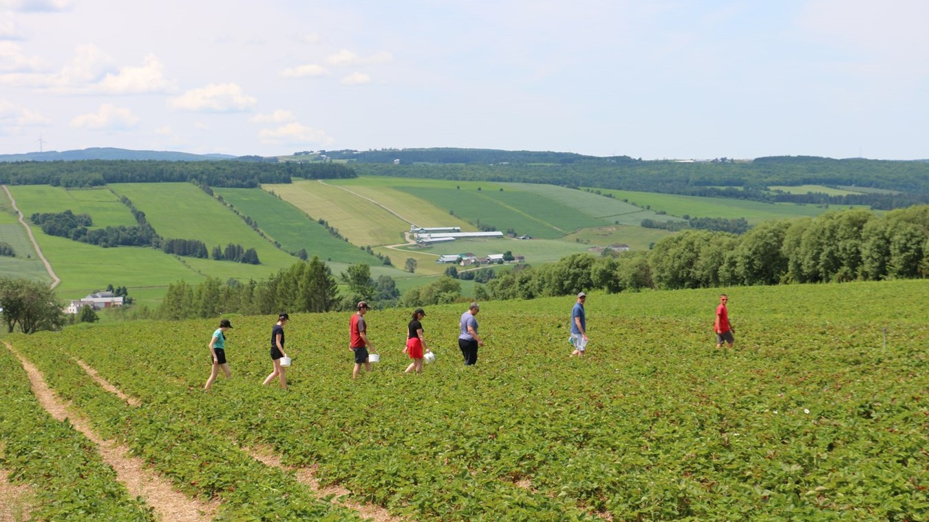 Aux fruits de la colline, Sainte-Marie