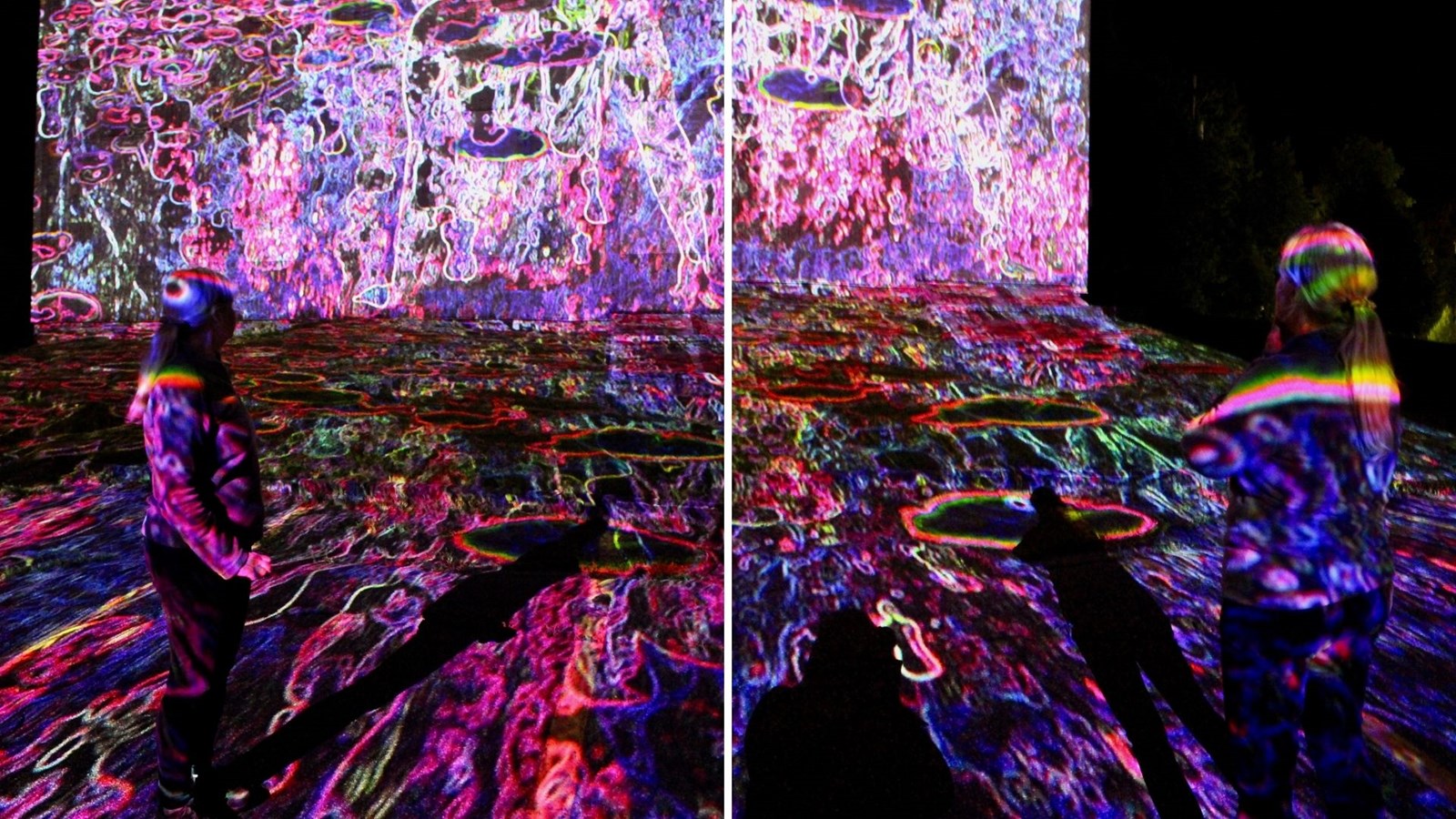 Suzanne Giroux: l'art de la vidéo pour montrer le beau