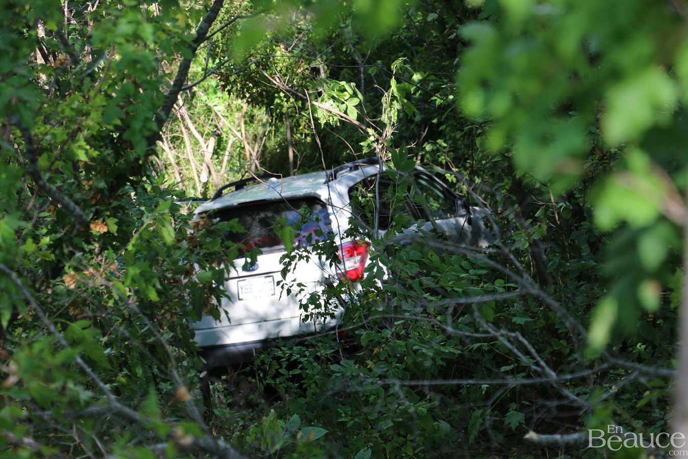 Une conductrice termine sa route dans des arbres