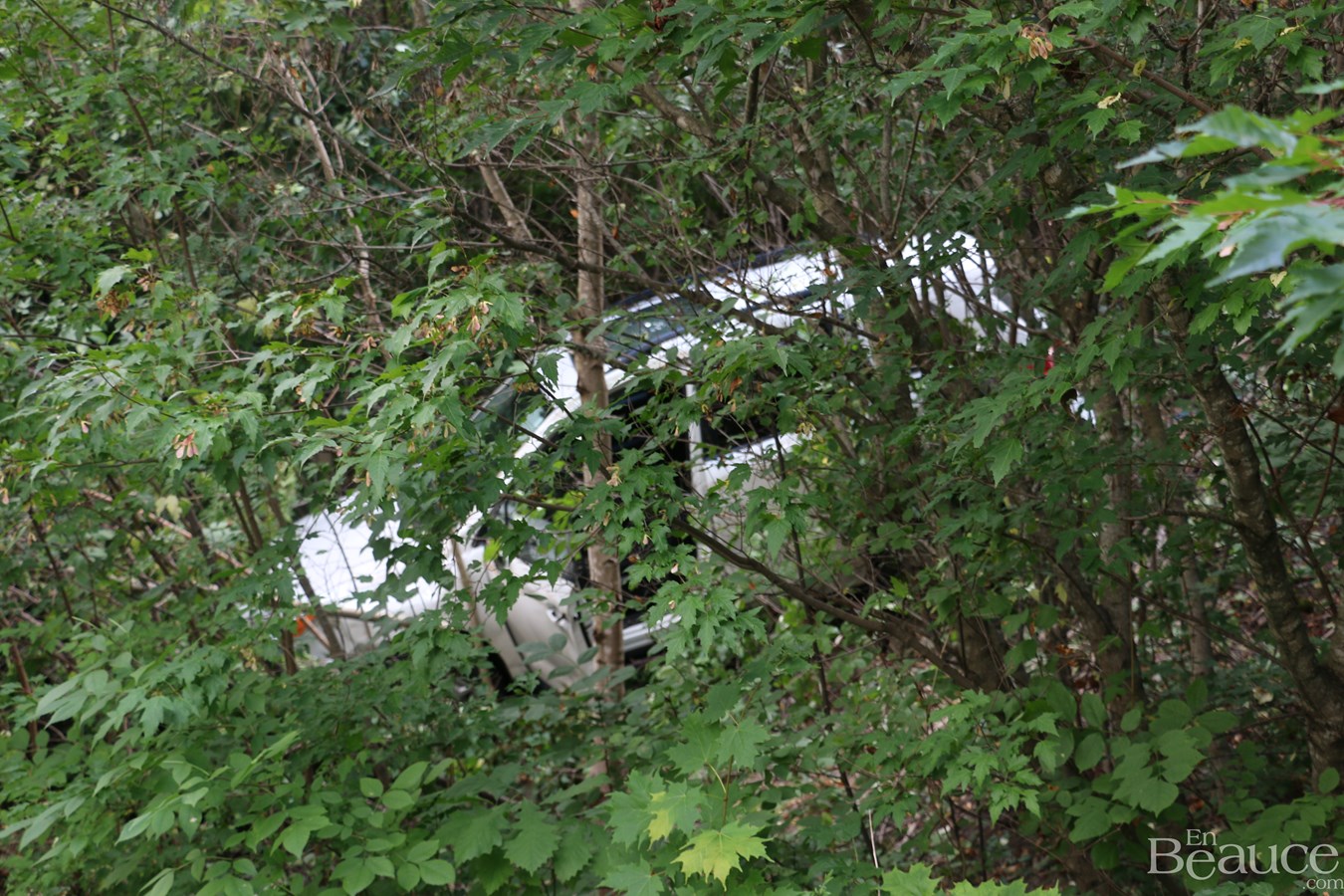 Une conductrice termine sa route dans des arbres