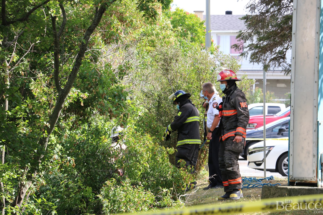 Une conductrice termine sa route dans des arbres