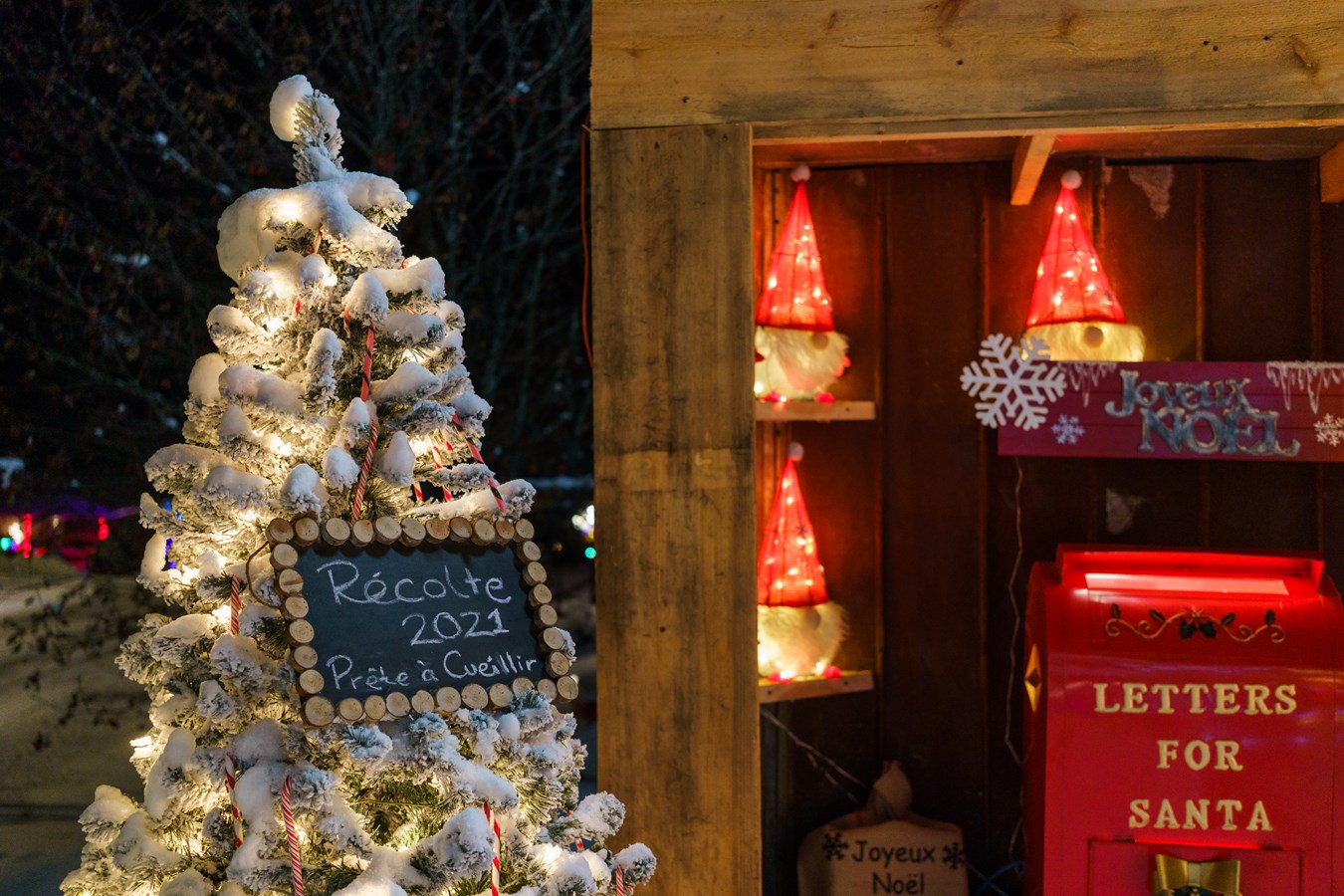 La boîte aux lettres du Père Noël est de retour à Saint-Côme-Linière
