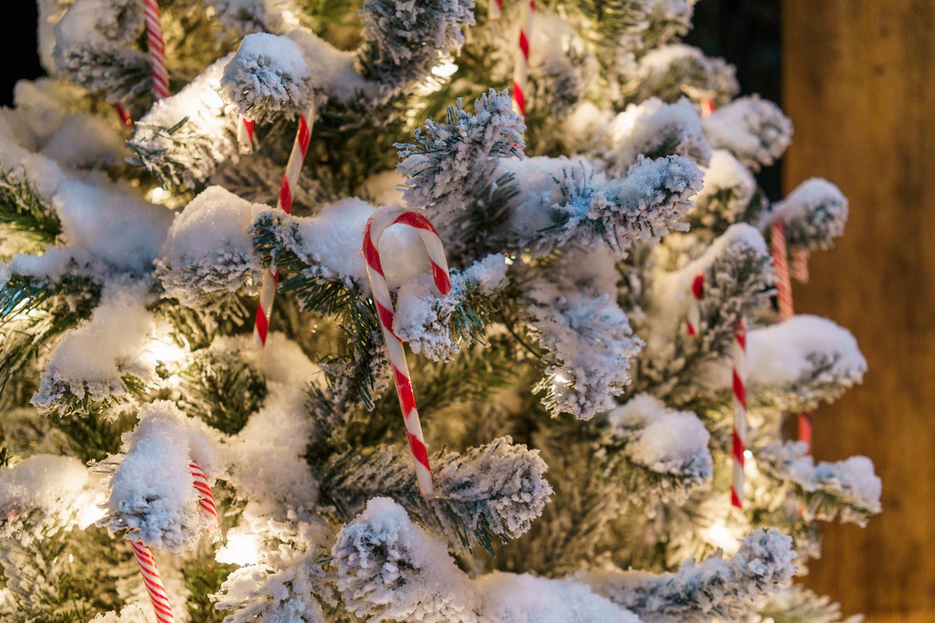 La boîte aux lettres du Père Noël est de retour à Saint-Côme-Linière