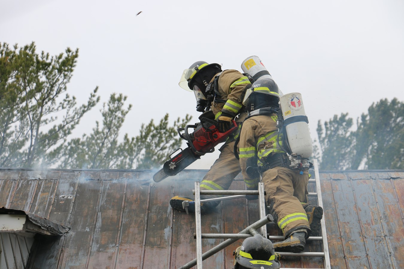 C'est la Journée internationale des pompiers
