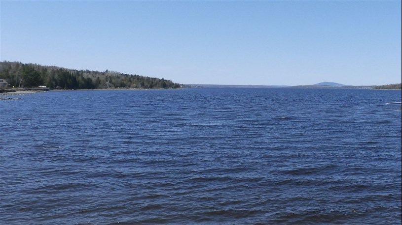 Population de dorés dans le Grand lac Saint-François: une diminution «inacceptable»