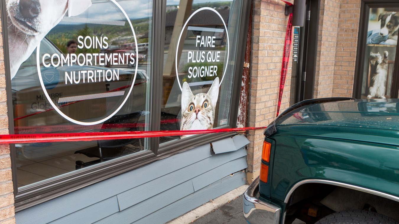 Une camionnette percute une clinique vétérinaire