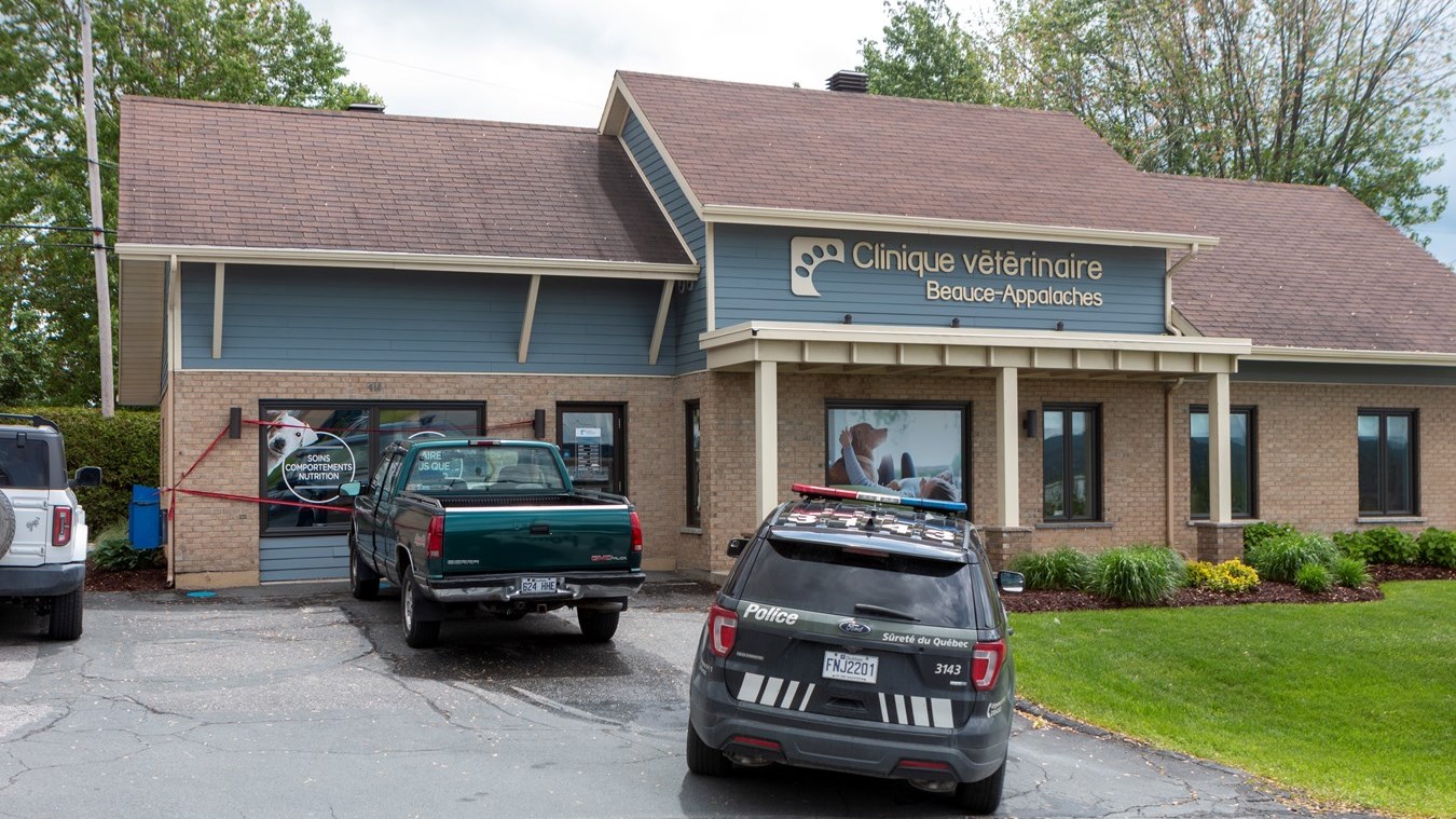 Une camionnette percute une clinique vétérinaire