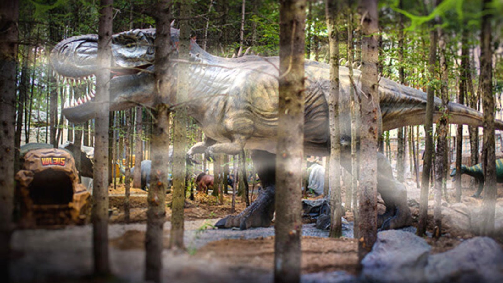 Un investissement de 700 000 $ au Woodooliparc
