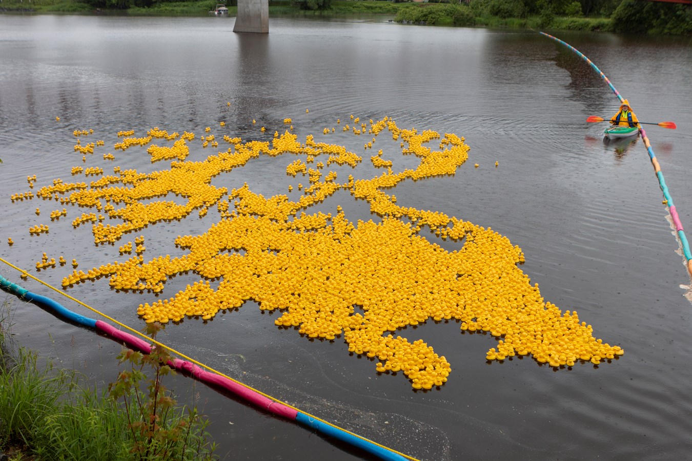 La Grande course des petits canards récolte plus de 21 000$