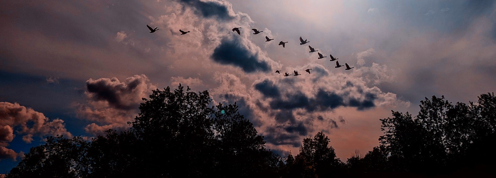 Galerie 4: le ciel en vedette
