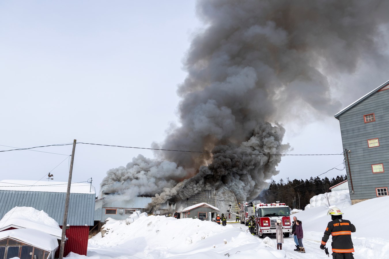 Incendie agricole Saint-Georges : 70 bêtes ont péri 