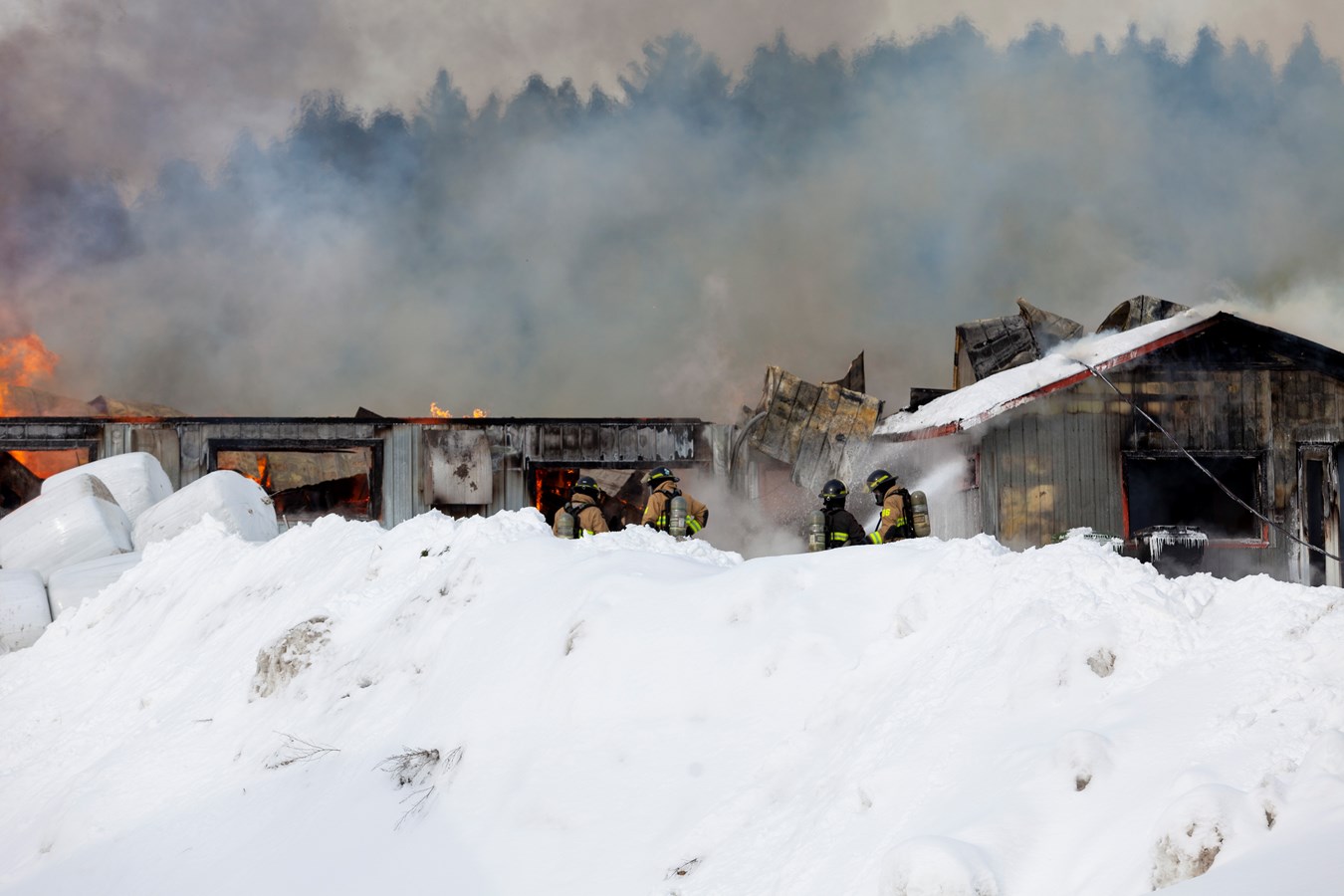 Incendie agricole Saint-Georges : 70 bêtes ont péri 
