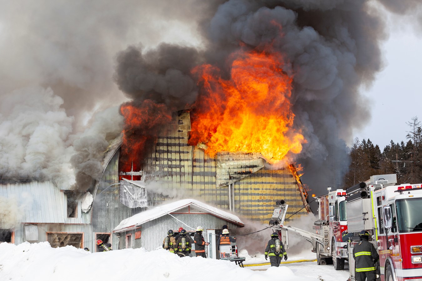 Incendie agricole Saint-Georges : 70 bêtes ont péri 