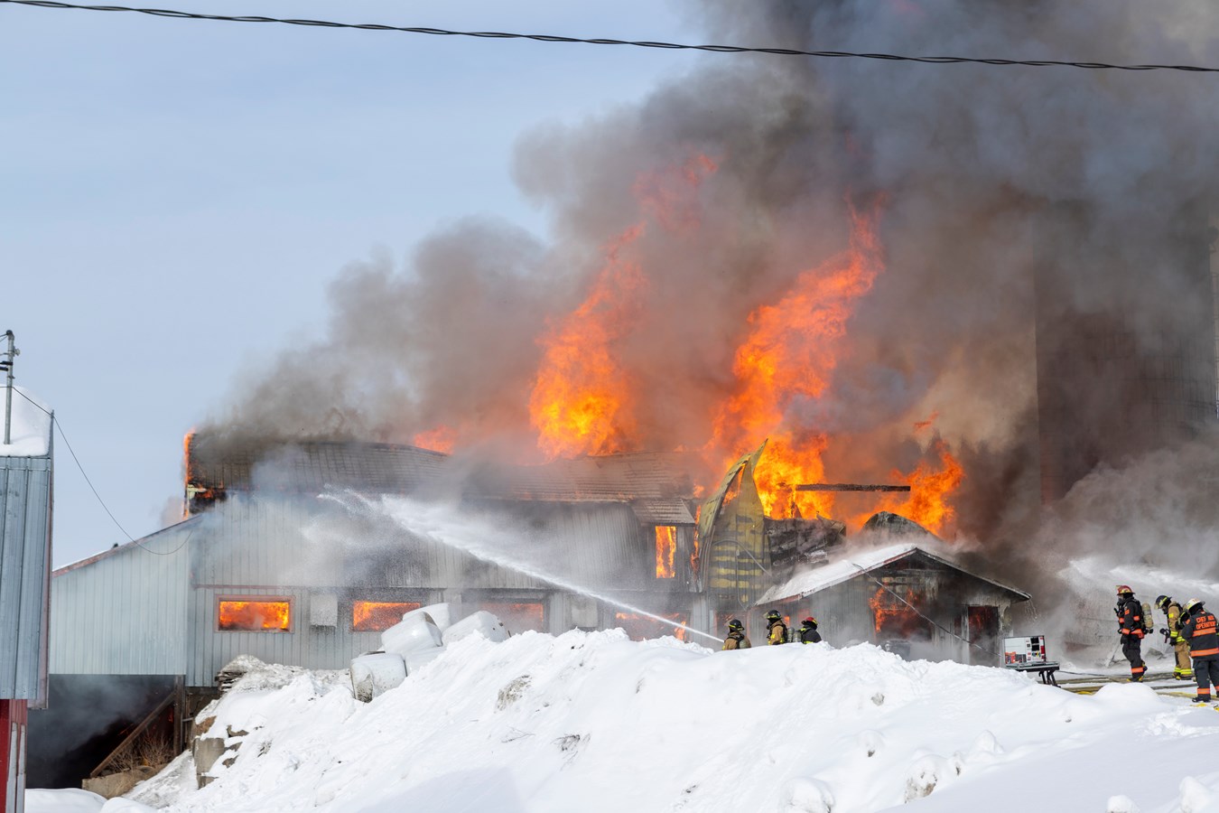 Incendie agricole Saint-Georges : 70 bêtes ont péri 