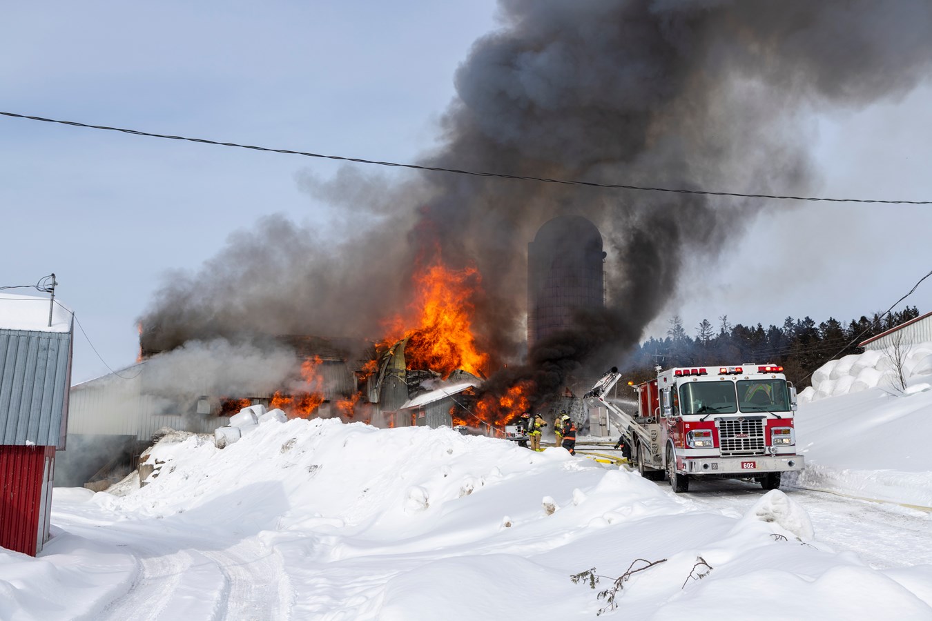 Incendie agricole Saint-Georges : 70 bêtes ont péri 