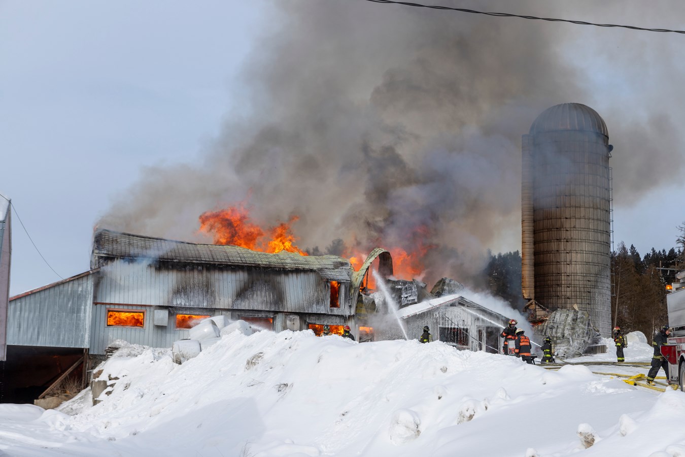 Incendie agricole Saint-Georges : 70 bêtes ont péri 