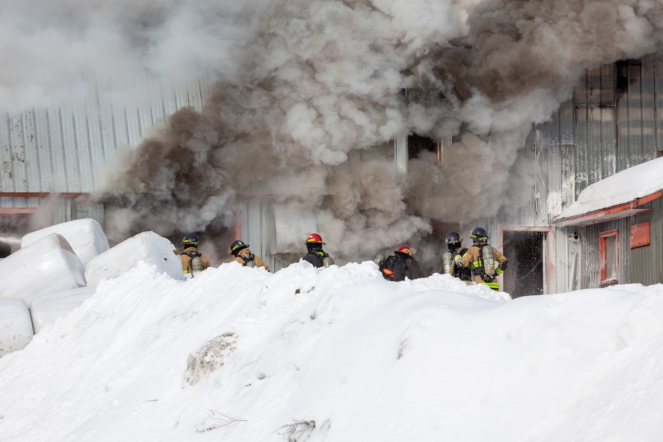 Incendie agricole Saint-Georges : 70 bêtes ont péri 