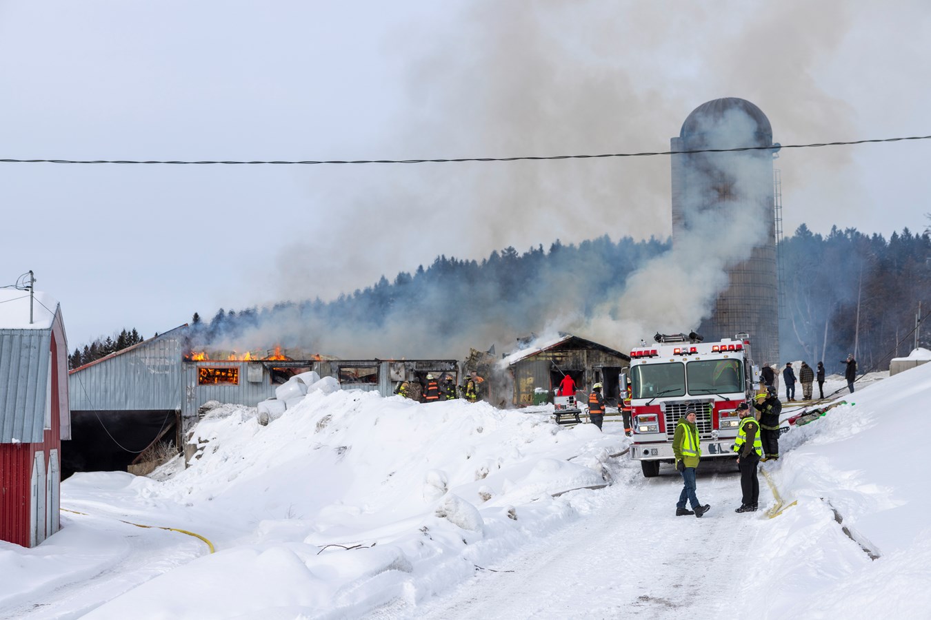 Incendie agricole Saint-Georges : 70 bêtes ont péri 