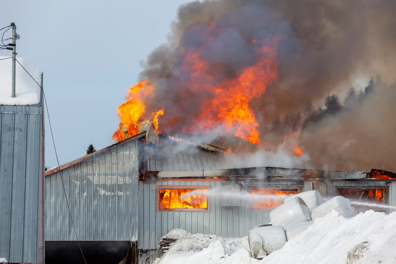 Incendie agricole Saint-Georges : 70 bêtes ont péri 