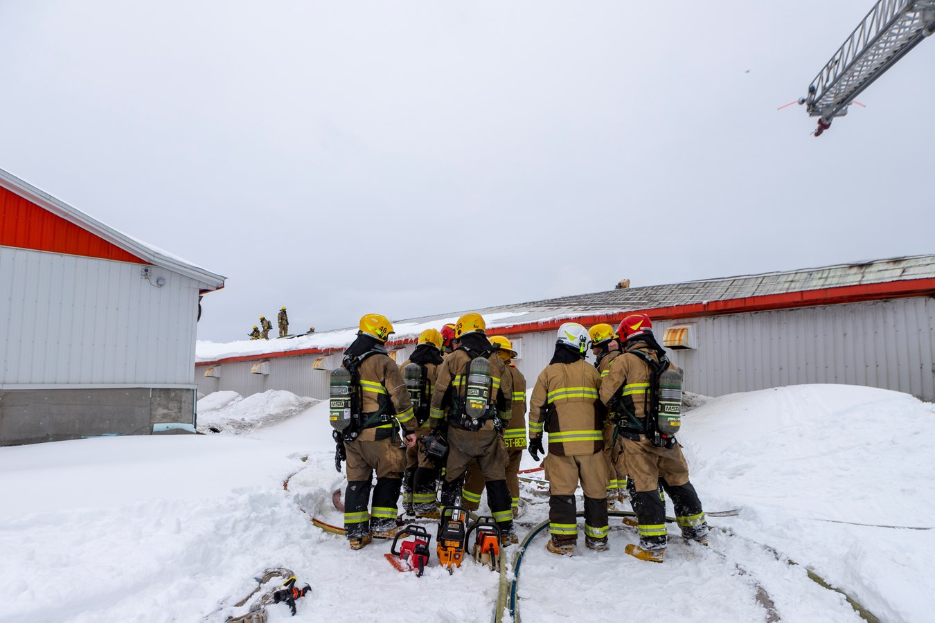 Incendie dans une ferme porcine de Saint-Elzéar
