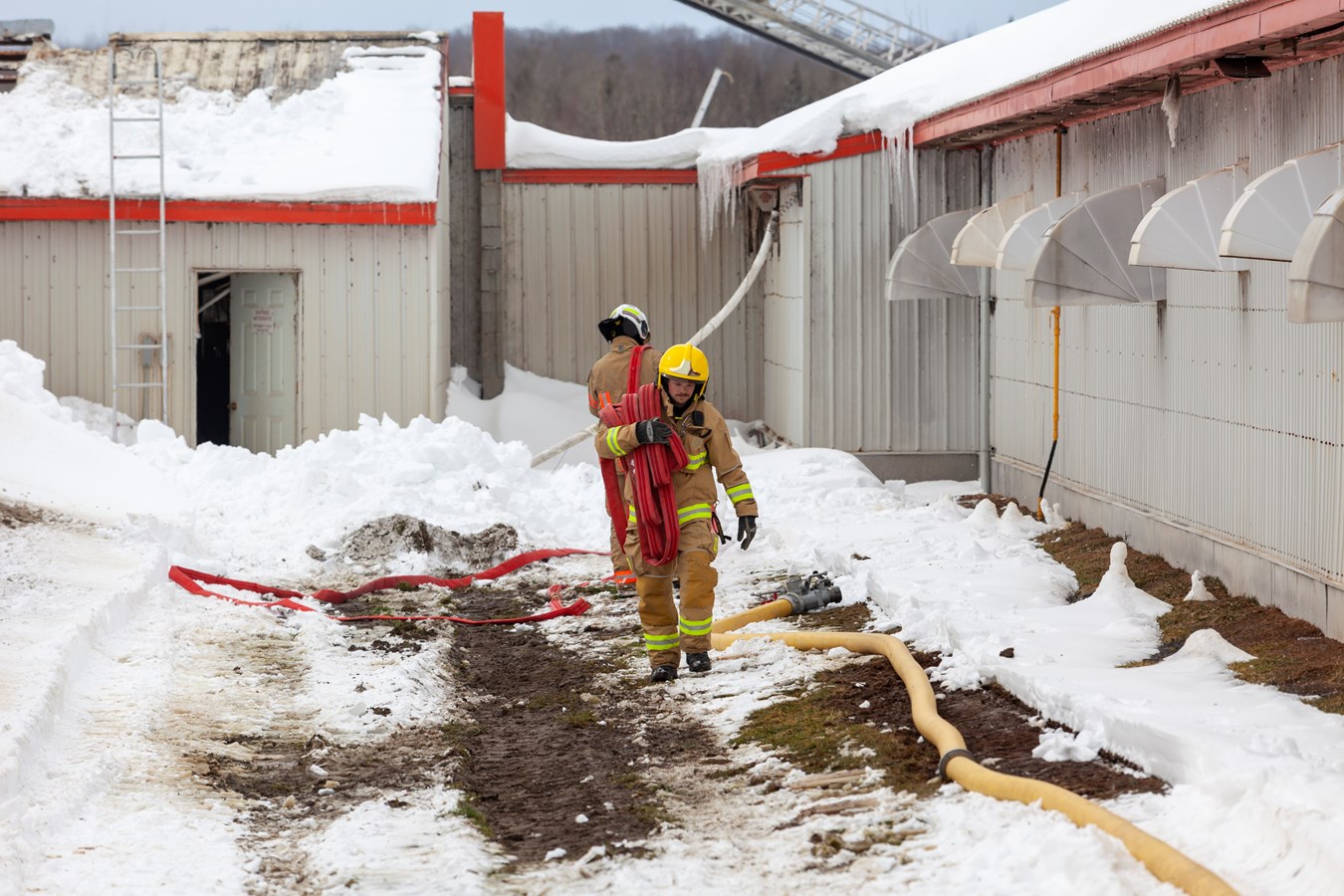 Incendie dans une ferme porcine de Saint-Elzéar