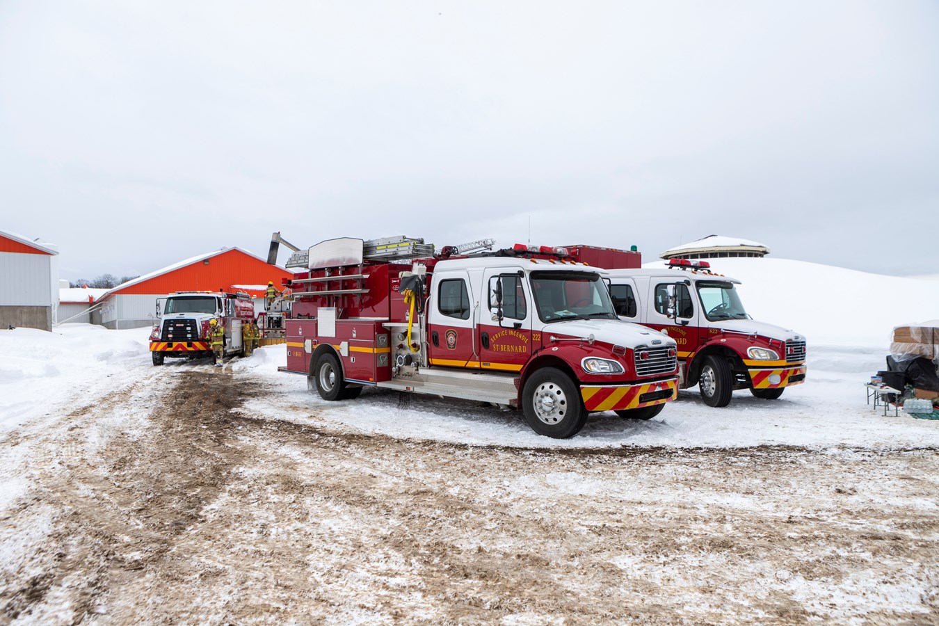 Incendie dans une ferme porcine de Saint-Elzéar