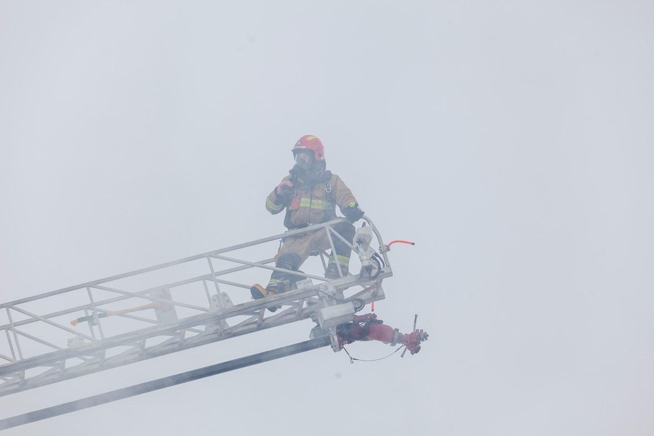 Incendie dans une ferme porcine de Saint-Elzéar