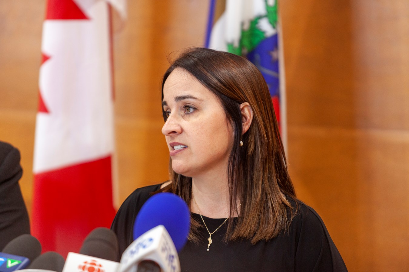 Les élus soutiennent les travailleurs et les éleveurs impactés par la fermeture d'Olymel Vallée-Jonction