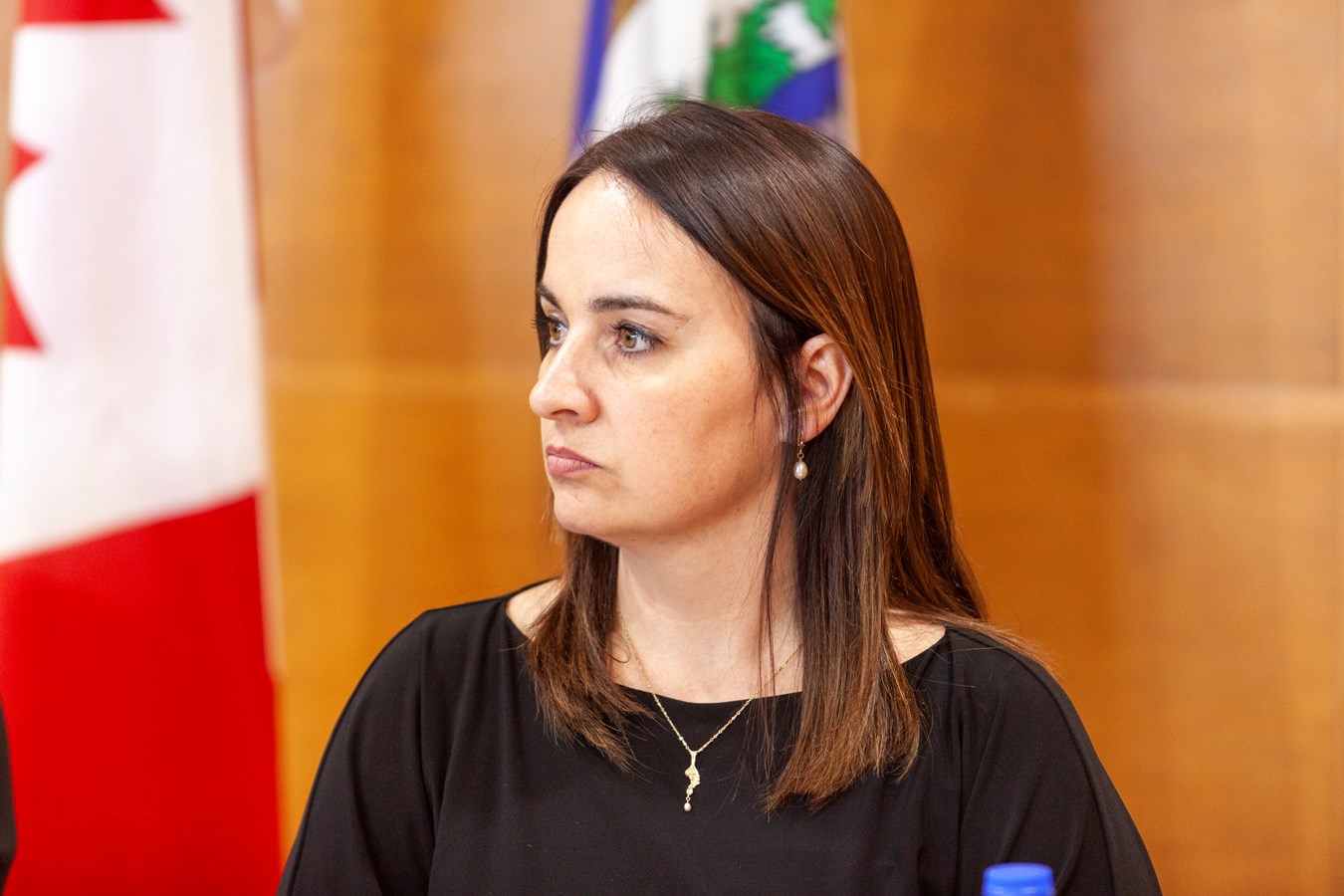 Les élus soutiennent les travailleurs et les éleveurs impactés par la fermeture d'Olymel Vallée-Jonction