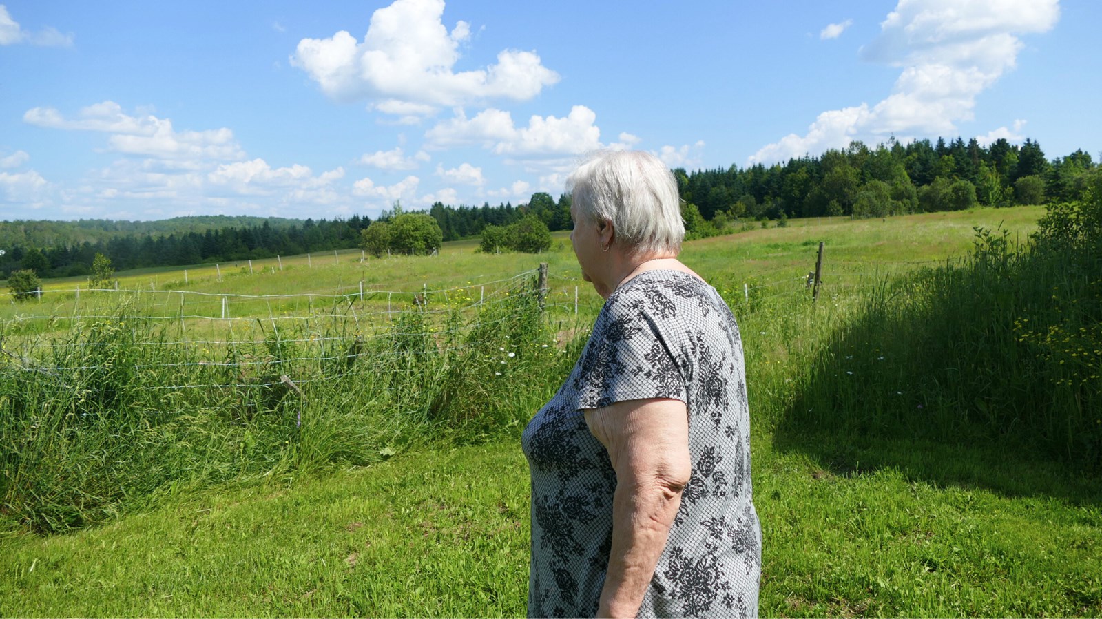Yolande Boulanger devant la partie de son terrain qui sera traversé par la voie de contournement