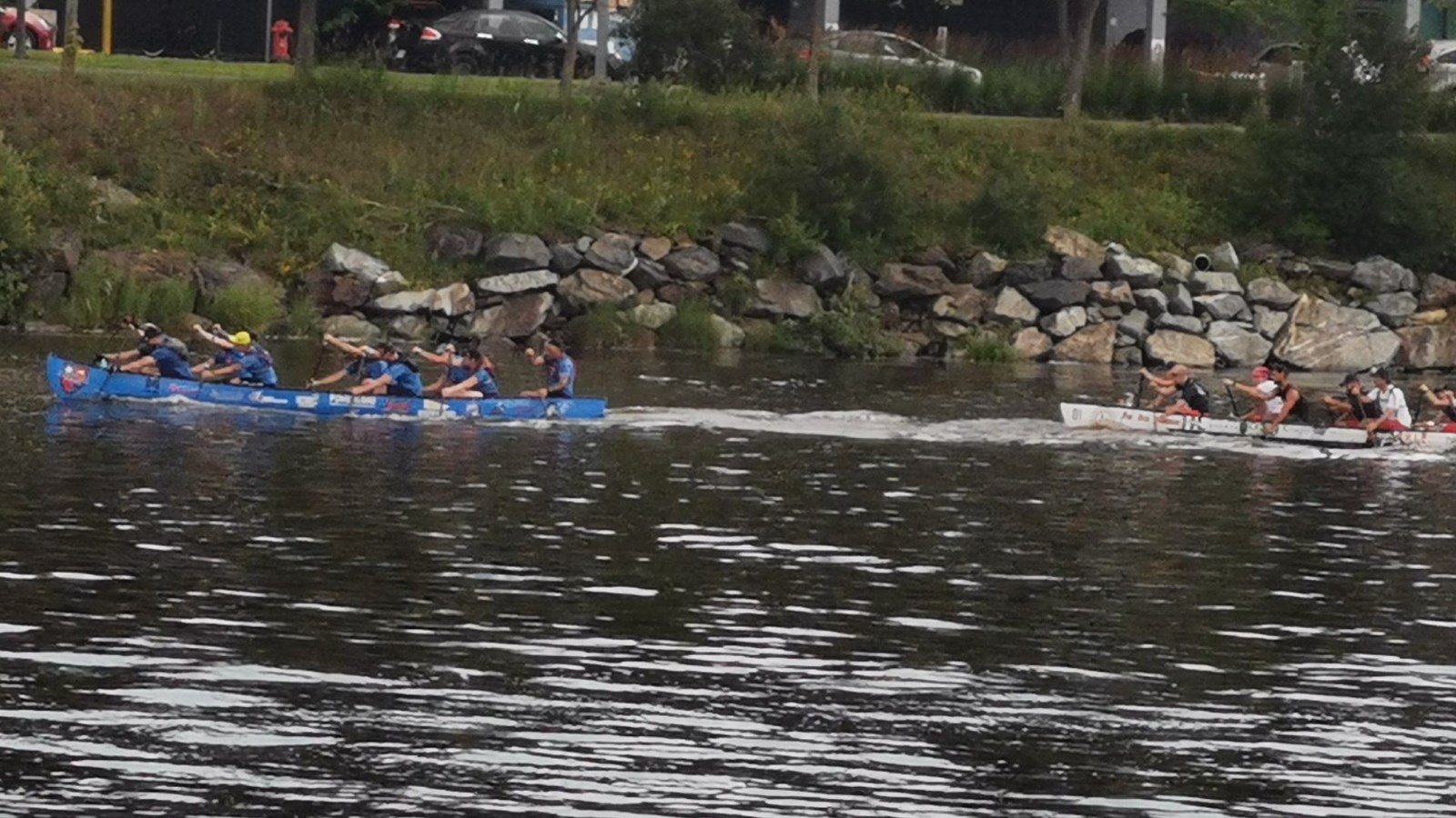 Course de rabaska: la Beauce gagne à la maison!
