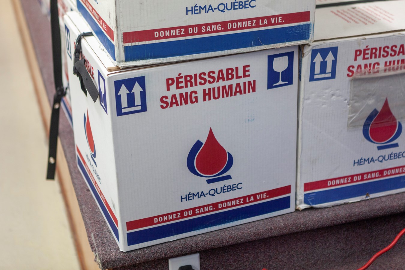 Toutes les collectes de sang à venir en Beauce