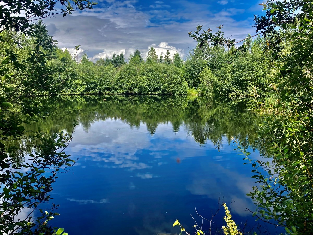 Galerie 3: la Beauce en été