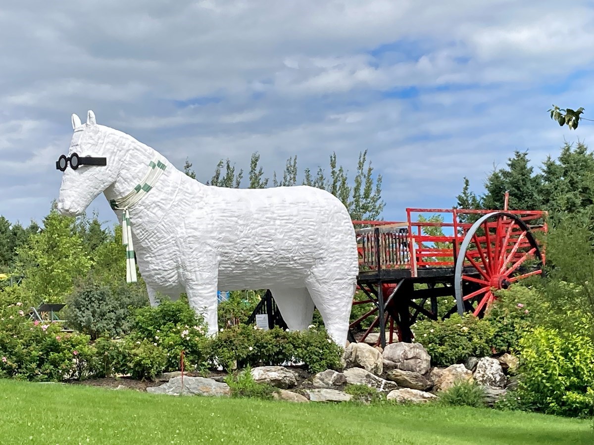 Galerie 3: la Beauce en été